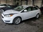 2015 Ford Focus Se продається в Ham Lake, MN - Front End