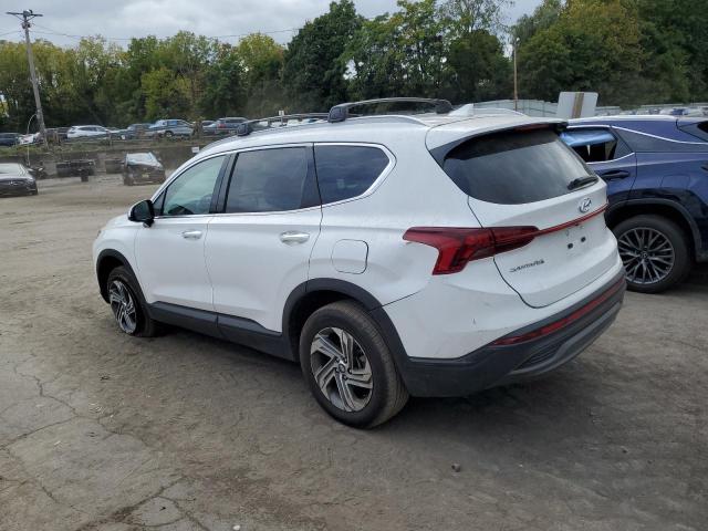 5NMS2DAJ3PH605674 Hyundai Santa Fe S 2