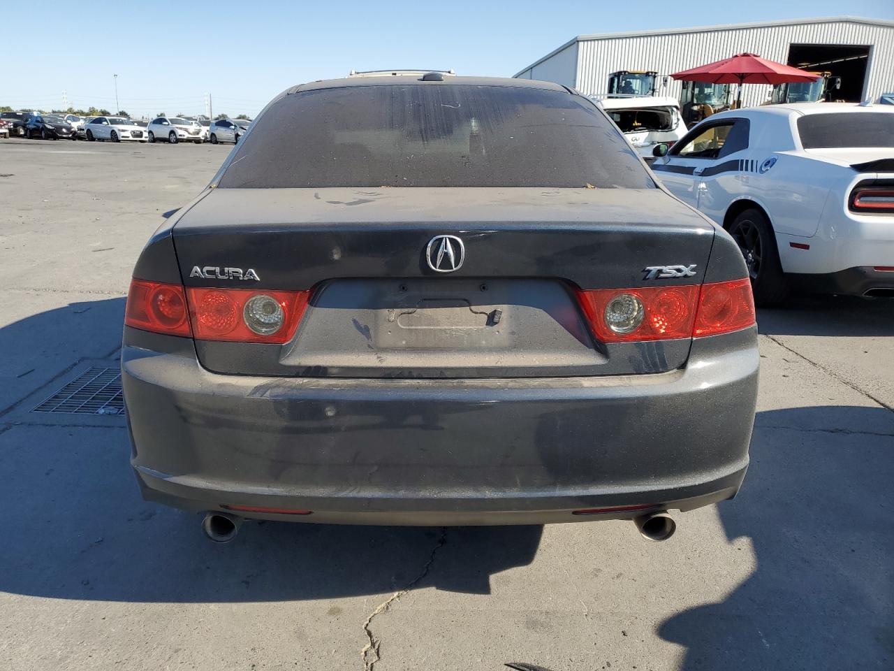 2006 Acura Tsx VIN: JH4CL96826C020455 Lot: 69827734