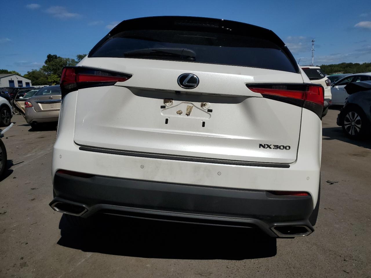 JTJGARDZ6L5016409 2020 Lexus Nx 300