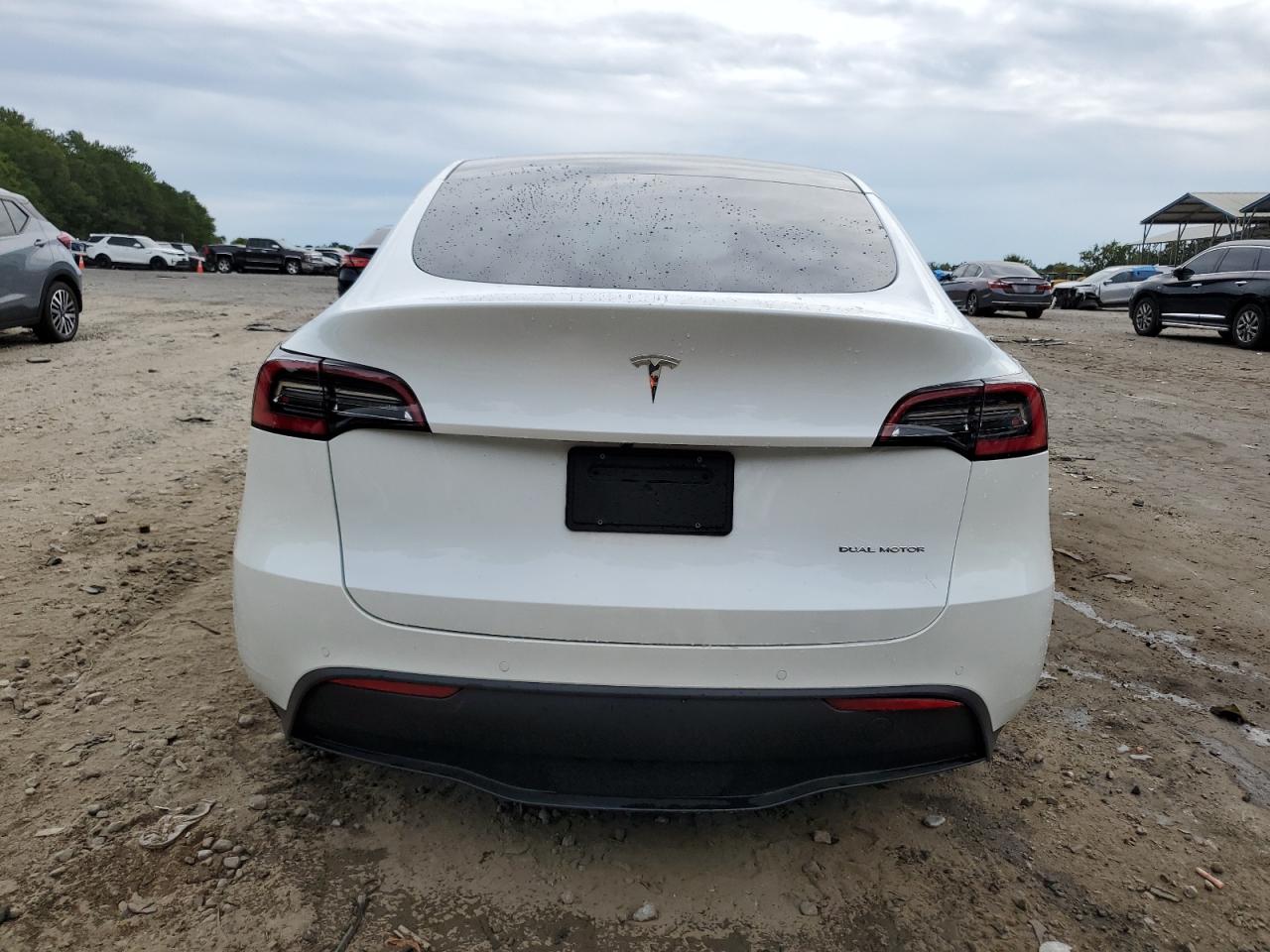 5YJYGDEE4MF085569 2021 Tesla Model Y