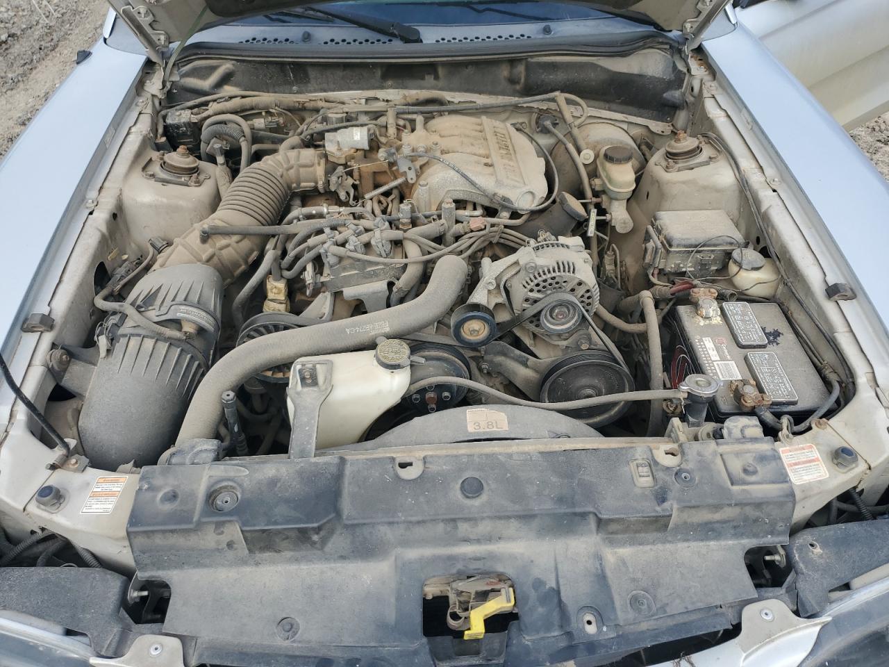 1998 Ford Mustang VIN: 1FAFP4043WF232278 Lot: 65700334