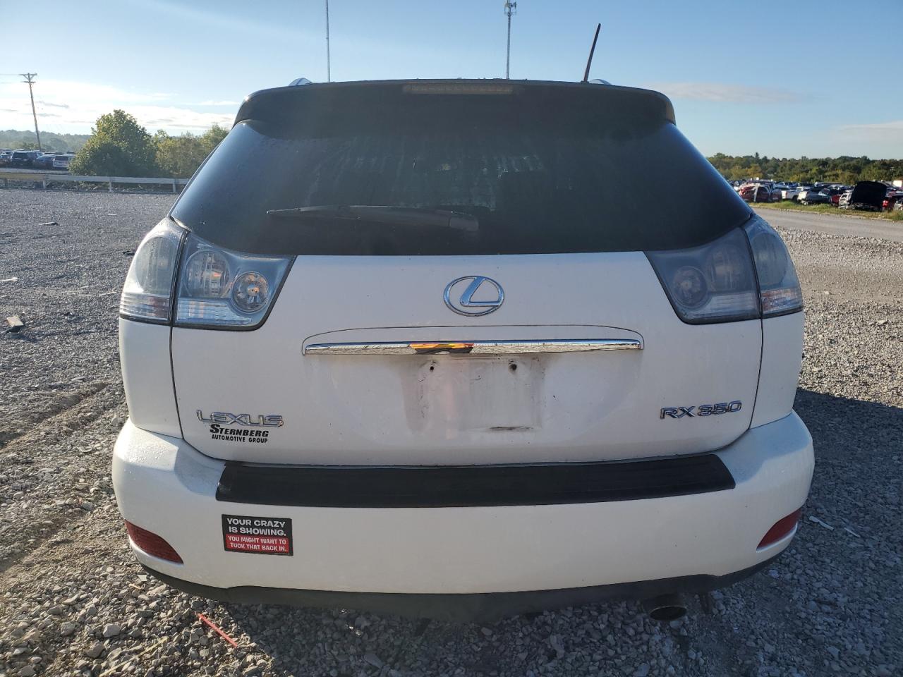 2009 Lexus Rx 350 VIN: 2T2HK31U69C126555 Lot: 71639744