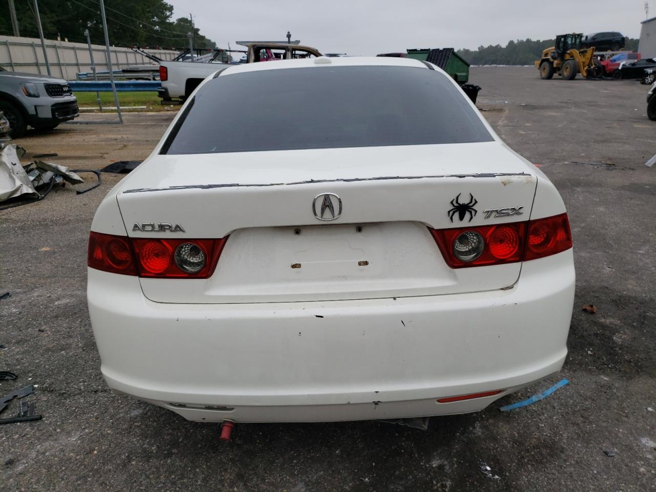 2006 Acura Tsx VIN: JH4CL96896C017729 Lot: 73129694