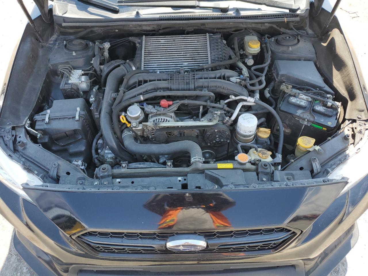 JF1VA1A60K9806162 2019 Subaru Wrx