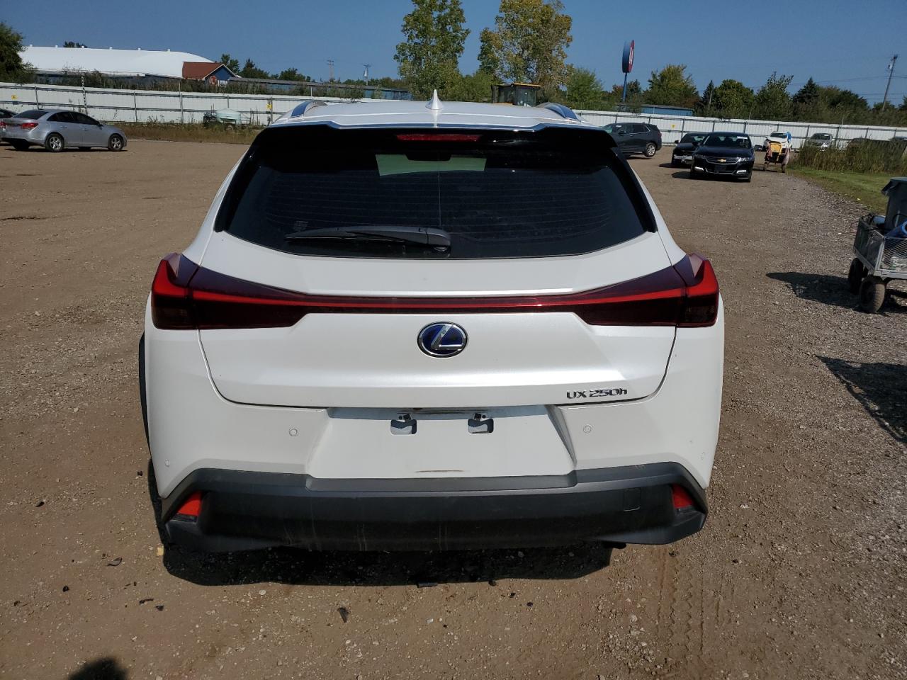 JTHU9JBH7K2003709 2019 Lexus Ux 250H