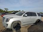 2019 Cadillac Escalade Luxury en Venta en Des Moines, IA - Rear End