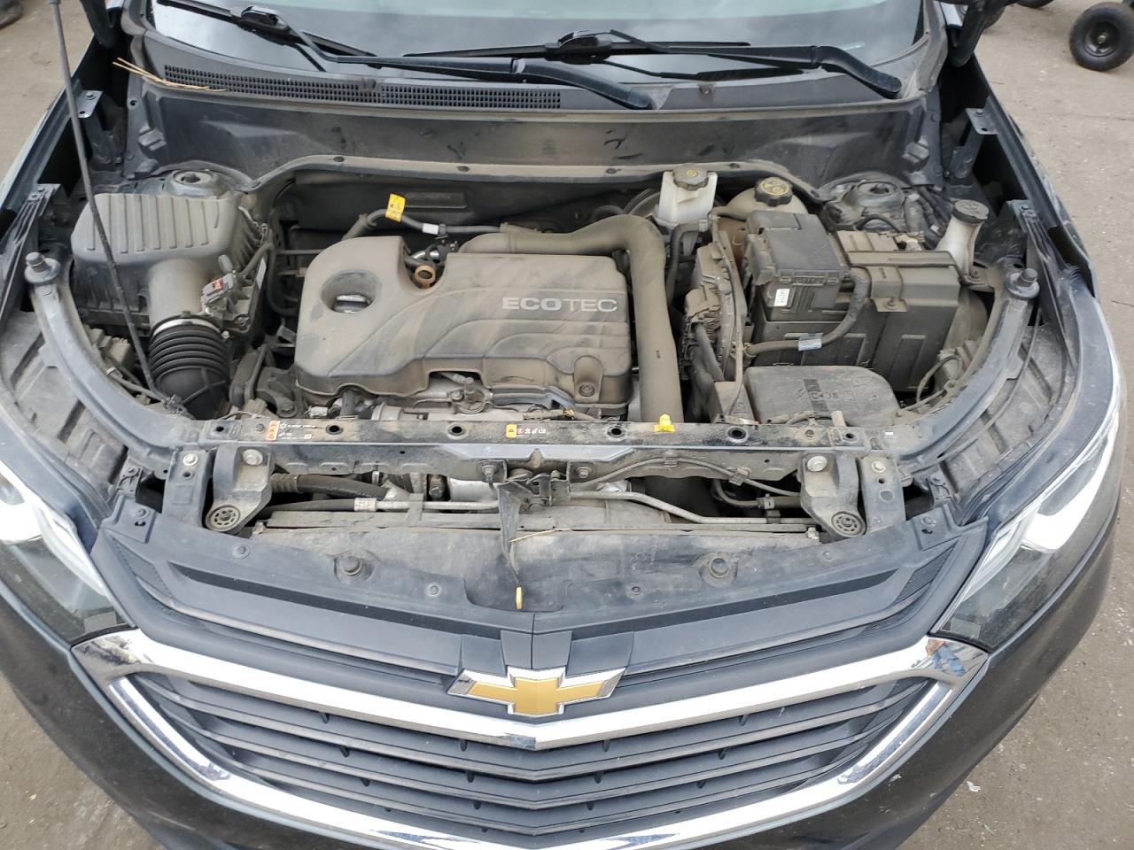 2GNAXUEV4K6209917 2019 Chevrolet Equinox Lt