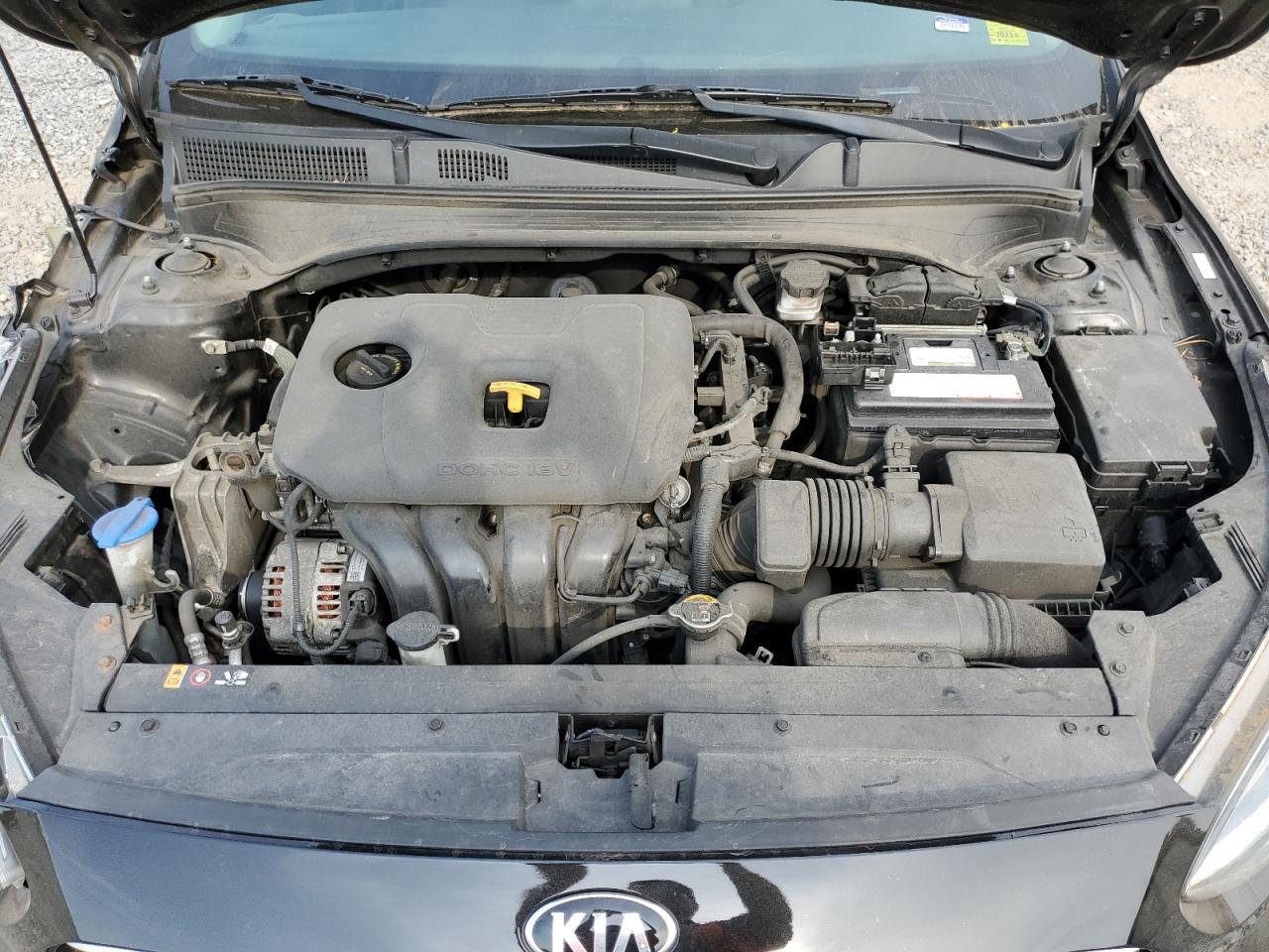 3KPF24AD3KE125226 2019 Kia Forte Fe