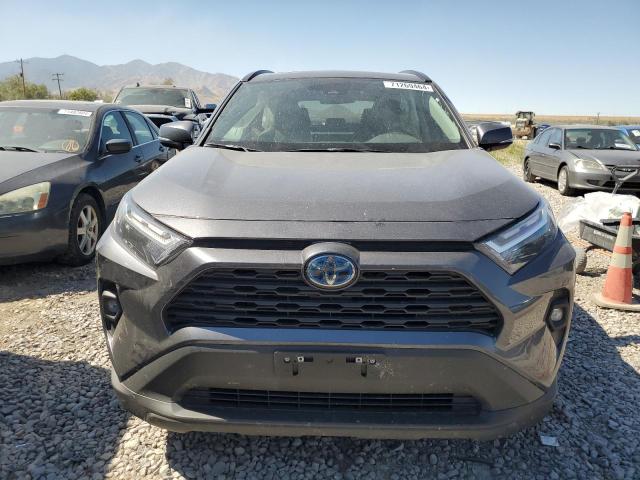  TOYOTA RAV4 2023 Charcoal