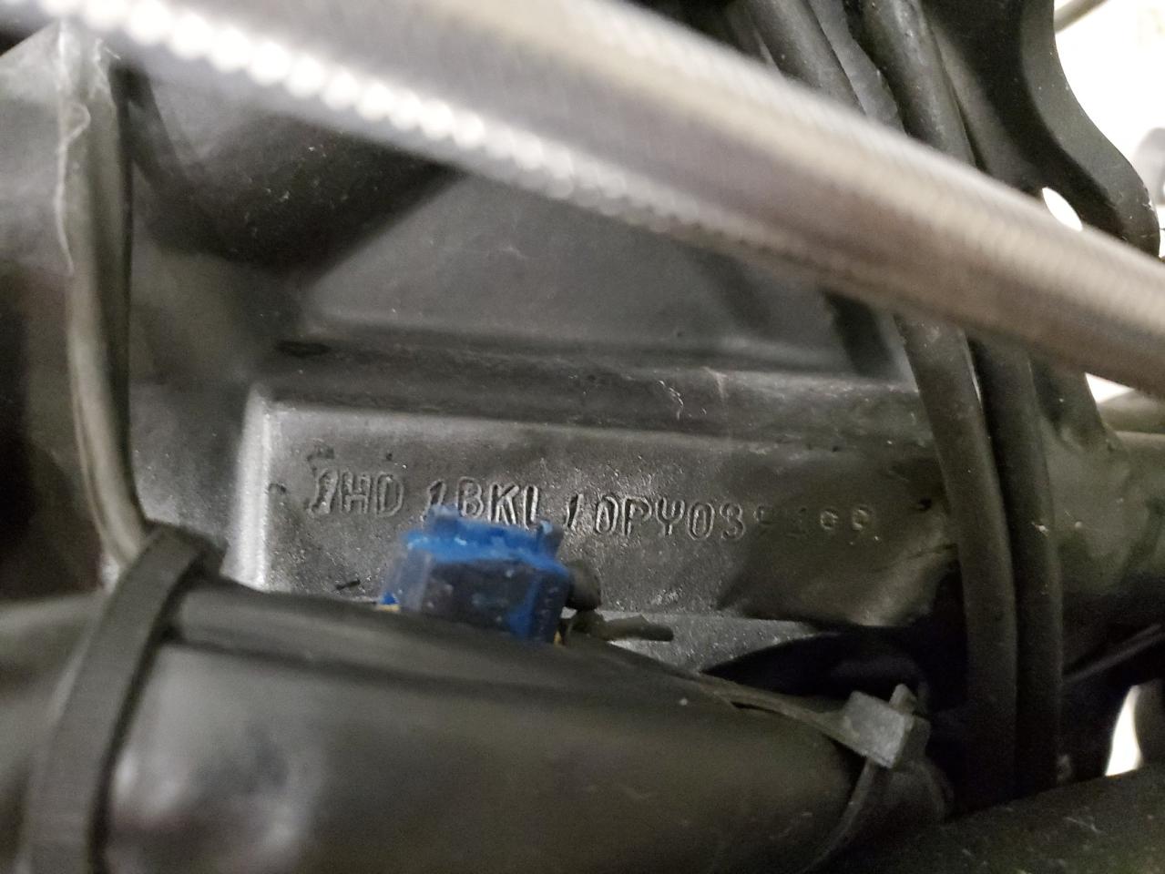 1993 Harley-Davidson Fxst Custom VIN: 1HD1BKL10PY039499 Lot: 71951224