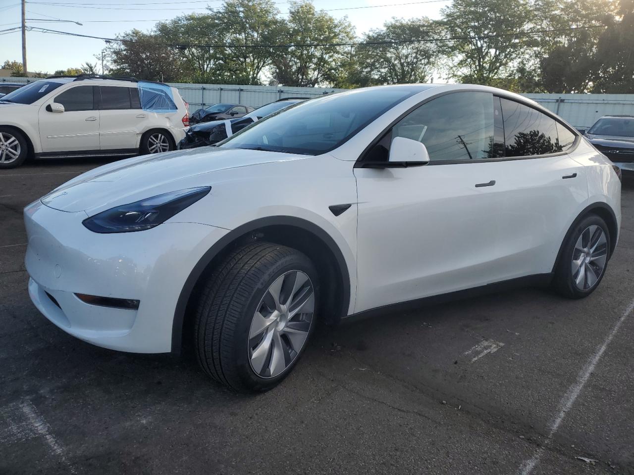 7SAYGDEE9RA259028 2024 Tesla Model Y