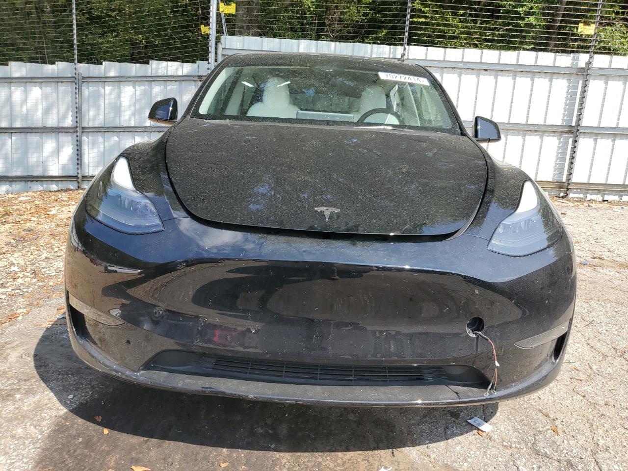 VIN 7SAYGDEE2PF799661 2023 TESLA MODEL Y no.5