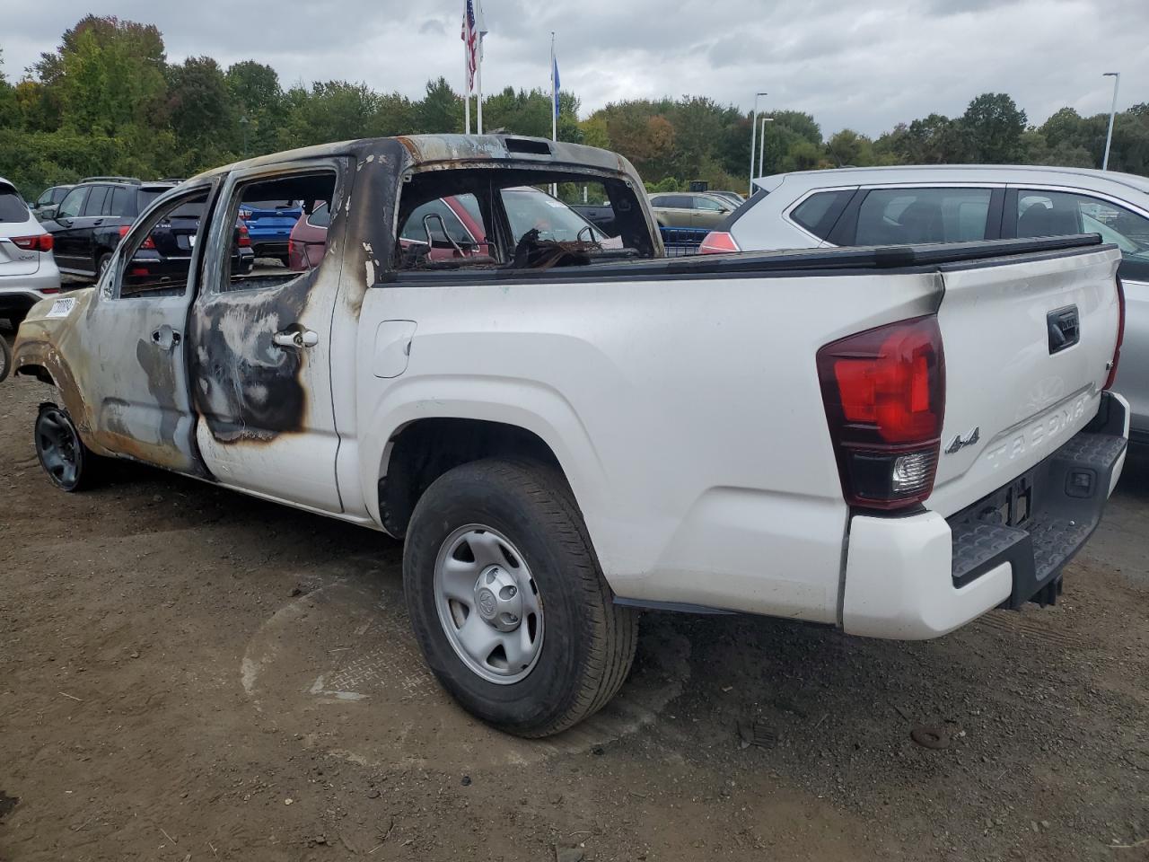 2020 Toyota Tacoma - Image 2