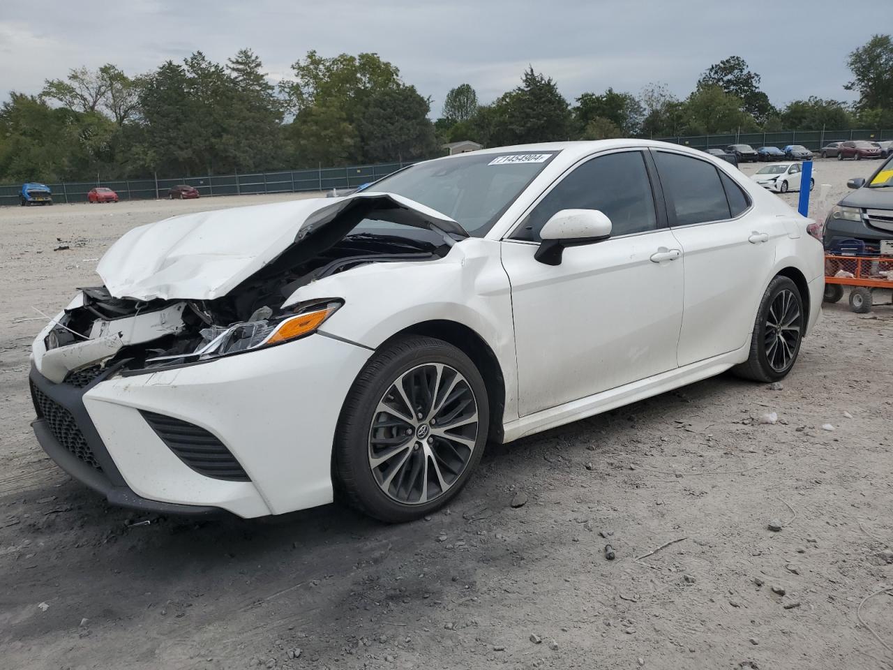 4T1B11HK7KU174589 2019 TOYOTA CAMRY - Image 1