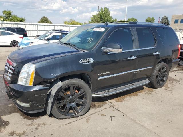 2011 Cadillac Escalade 