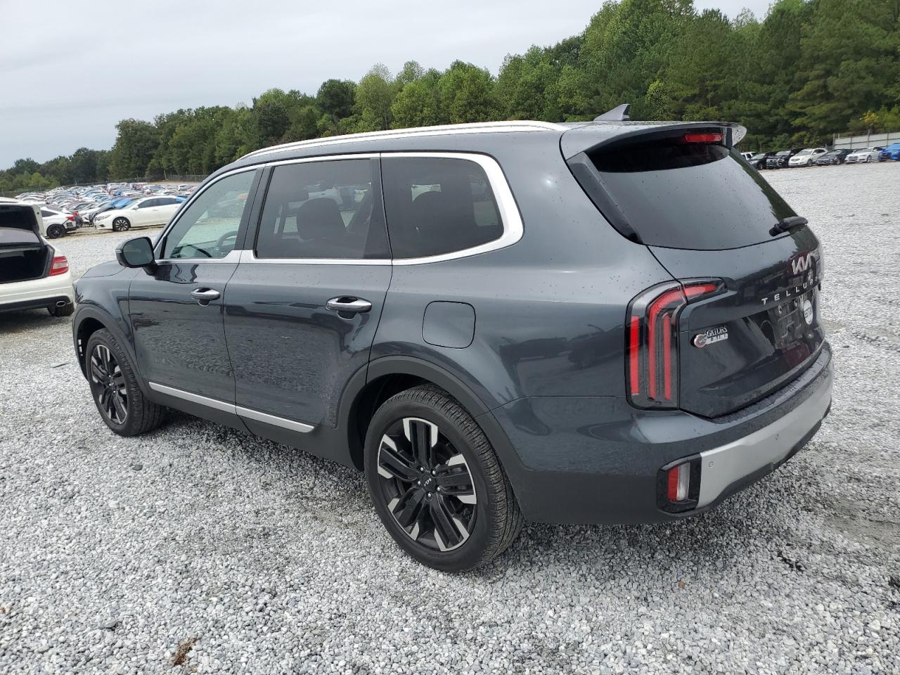 2023 Kia Telluride Sx VIN: 5XYP54GC2PG390949 Lot: 71958614