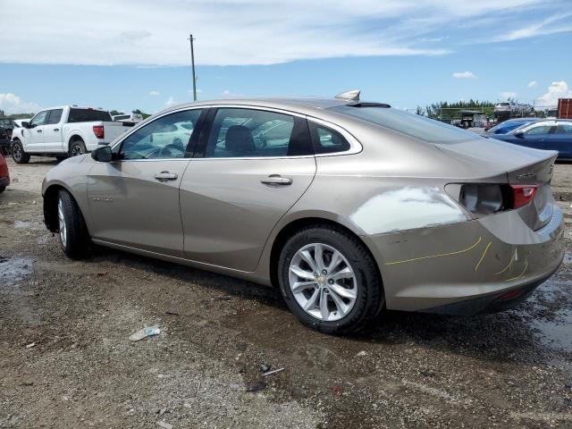  CHEVROLET MALIBU 2023 Gray