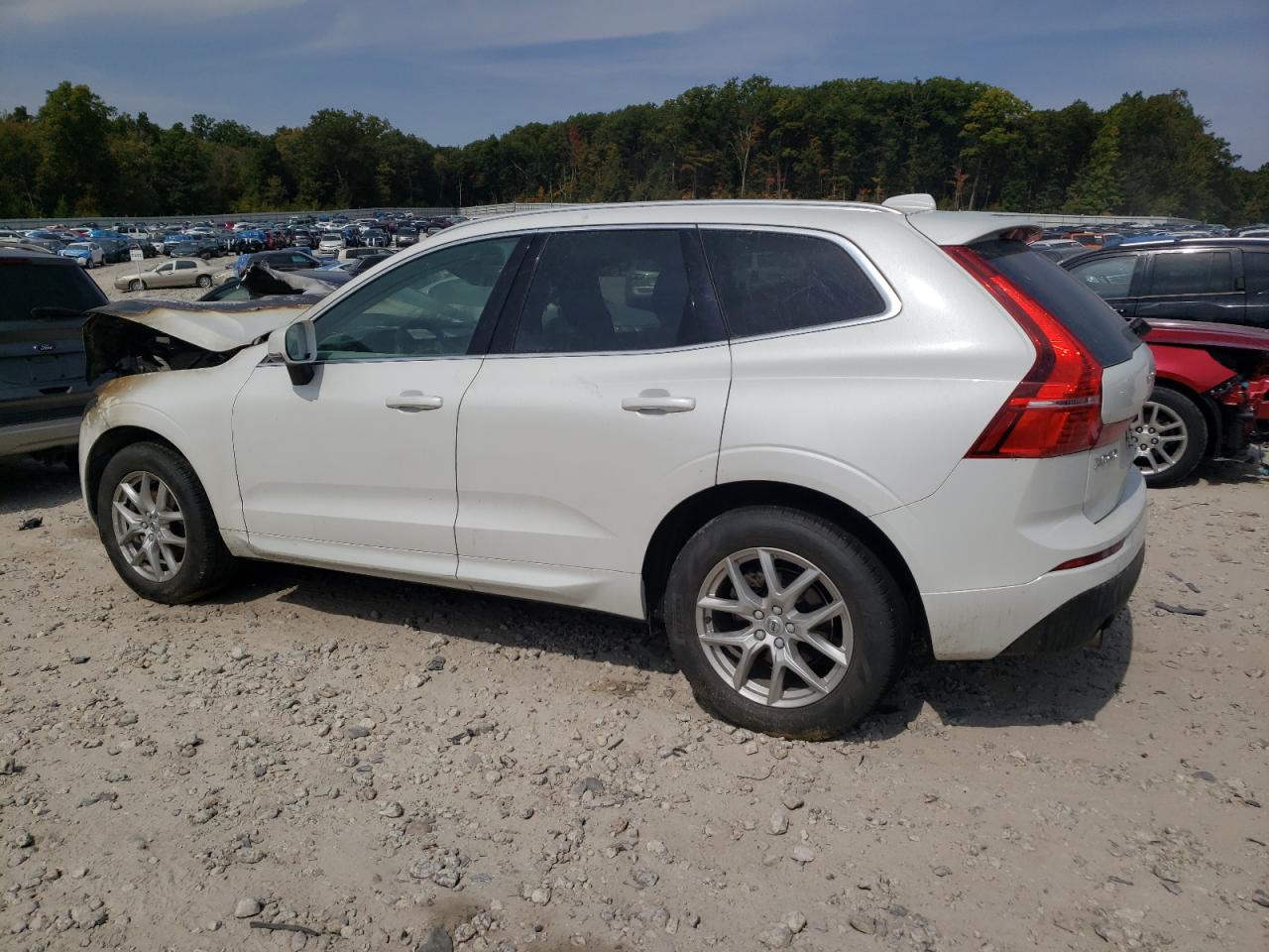 LYV102RK8KB225227 2019 VOLVO XC60 - Image 2