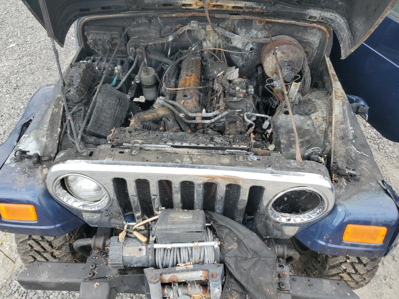 2005 Jeep Wrangler / Tj Unlimited VIN: 1J4FA44S25P335098 Lot: 70064434