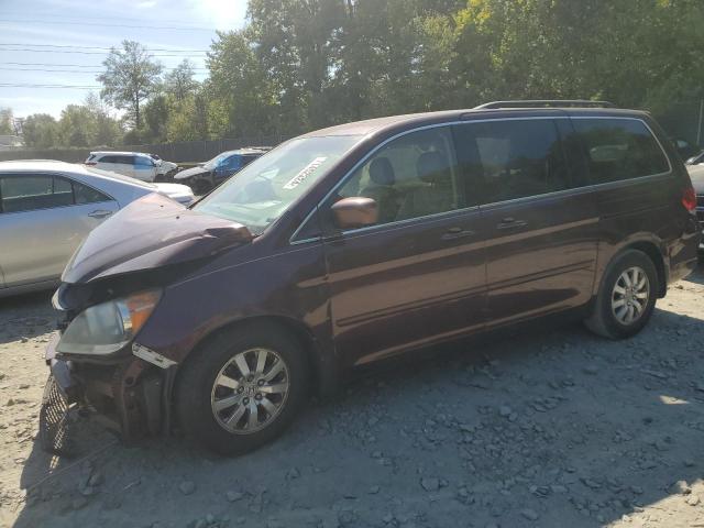 2009 Honda Odyssey Exl