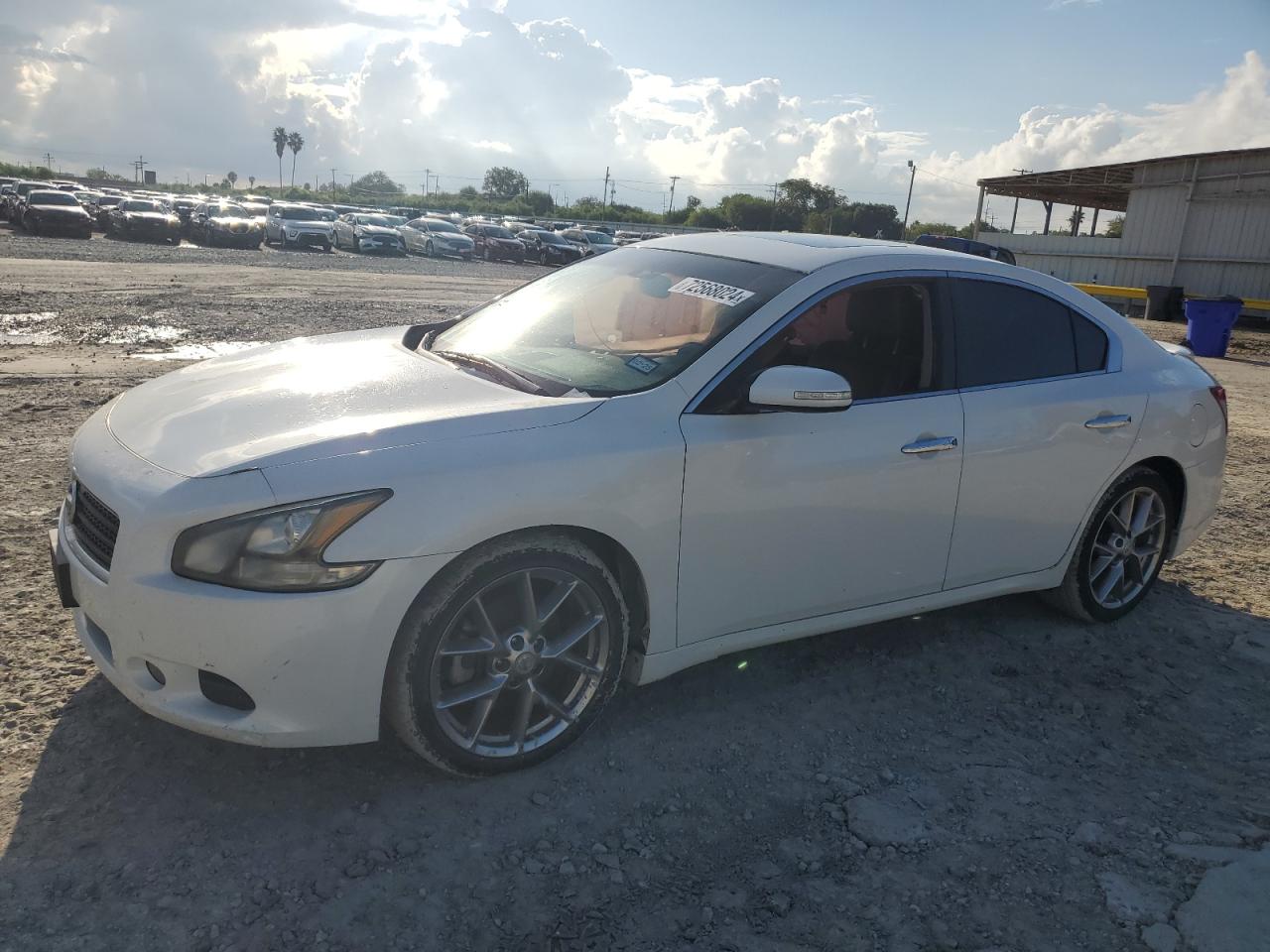 1N4AA5AP6BC831262 2011 Nissan Maxima S