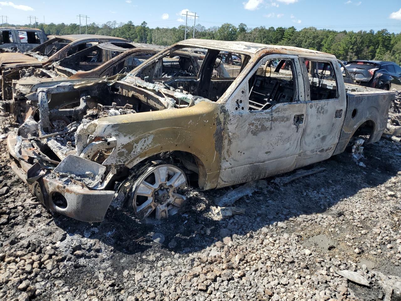 2010 Ford F150 Supercrew for Sale in Greenwell Springs, LA - Rear End