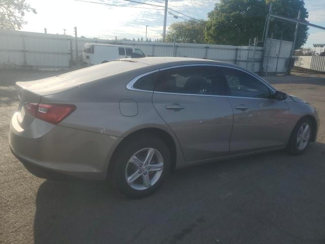  CHEVROLET MALIBU 2024 Beige