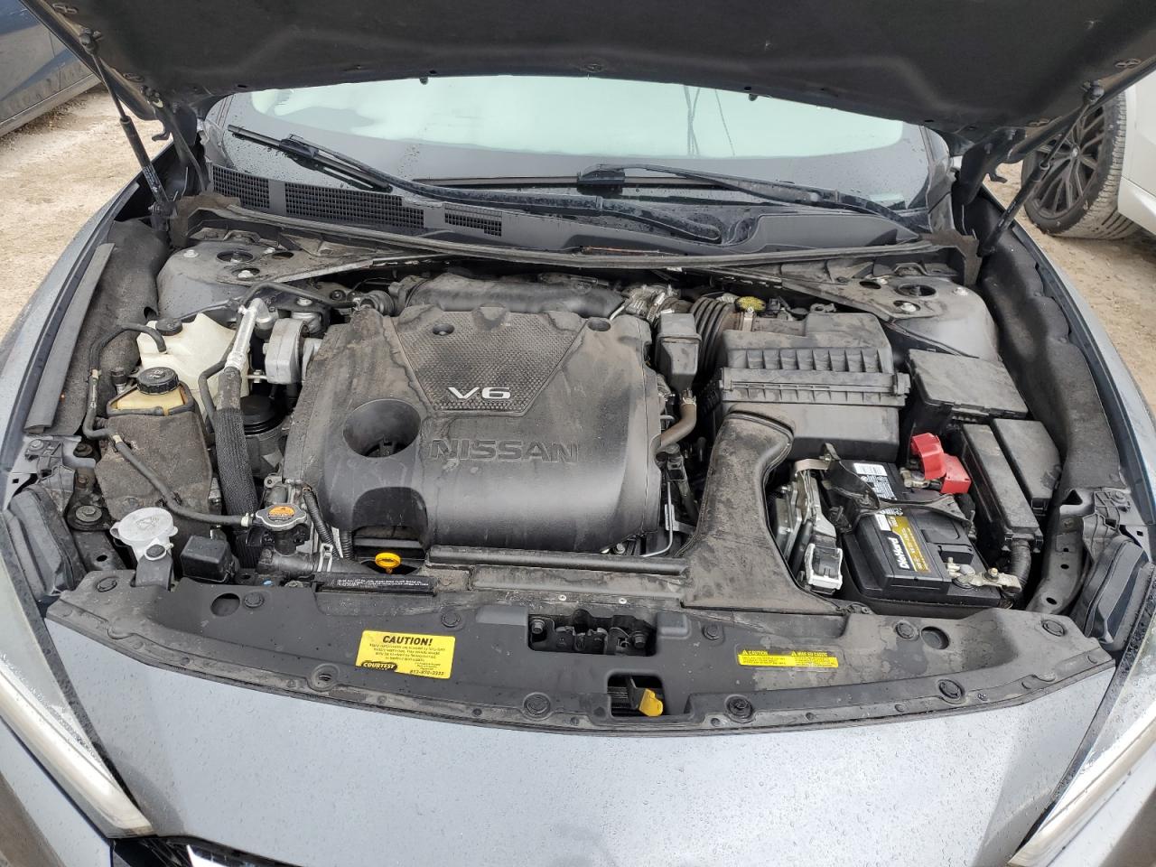 1N4AA6AV4KC381731 2019 Nissan Maxima S