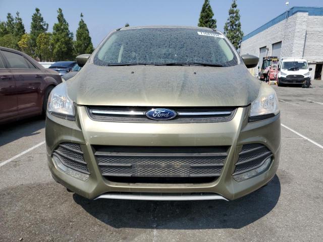  FORD ESCAPE 2013 Green