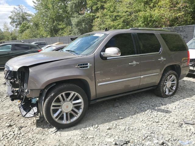 2014 Cadillac Escalade Platinum