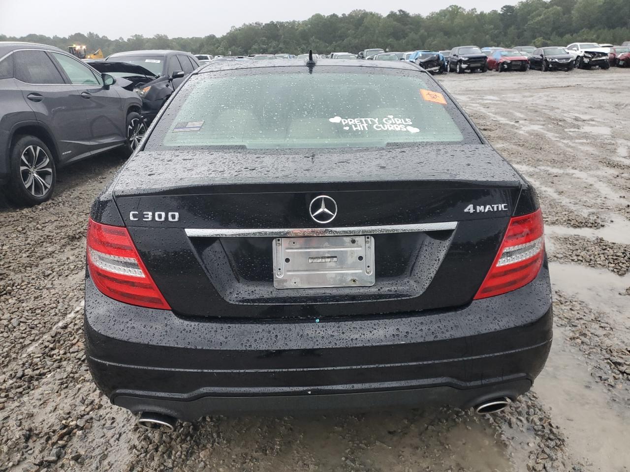 2013 Mercedes-Benz C 300 4Matic VIN: WDDGF8AB4DR244401 Lot: 73215034