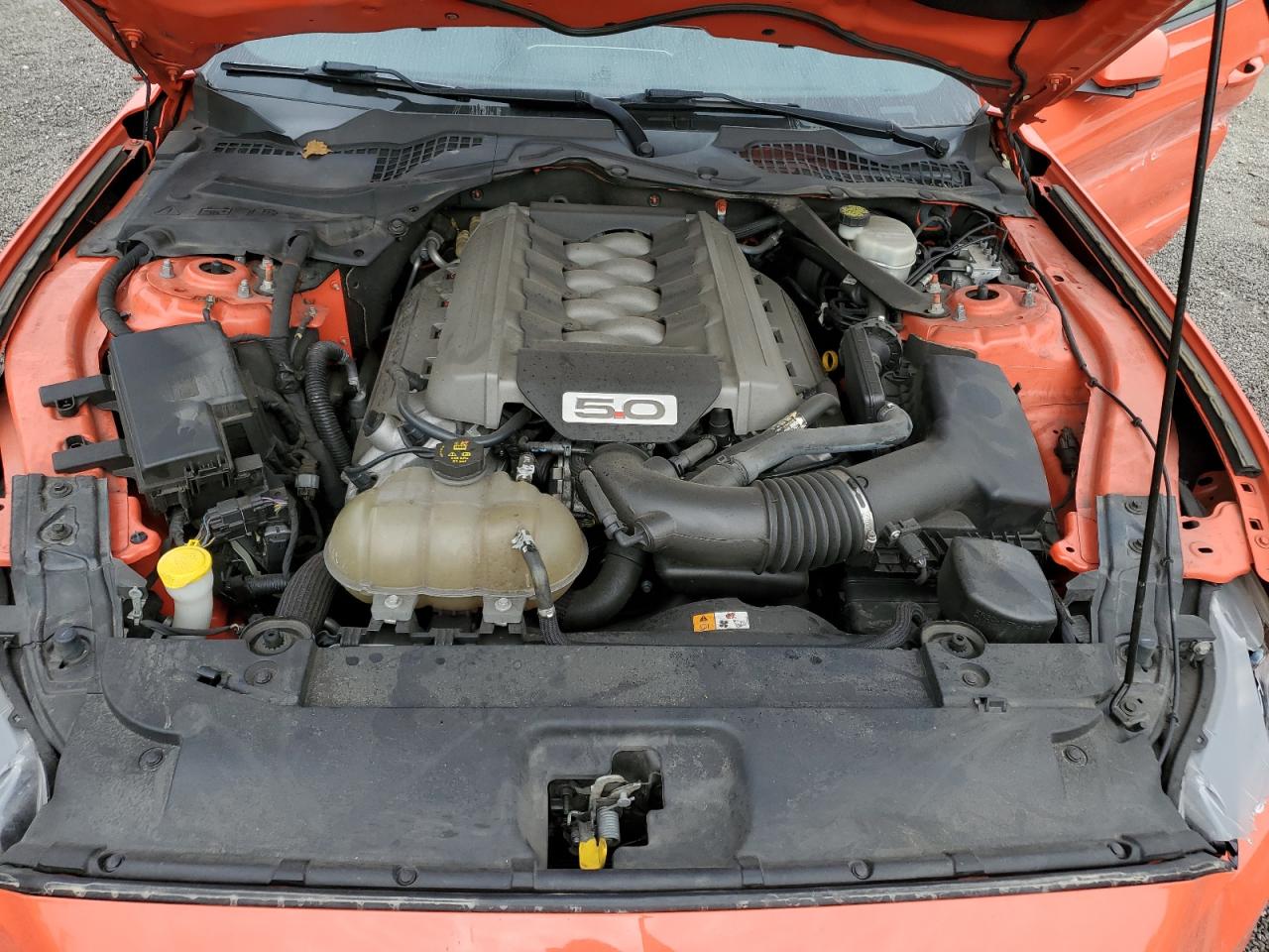 2016 Ford Mustang - Image 13