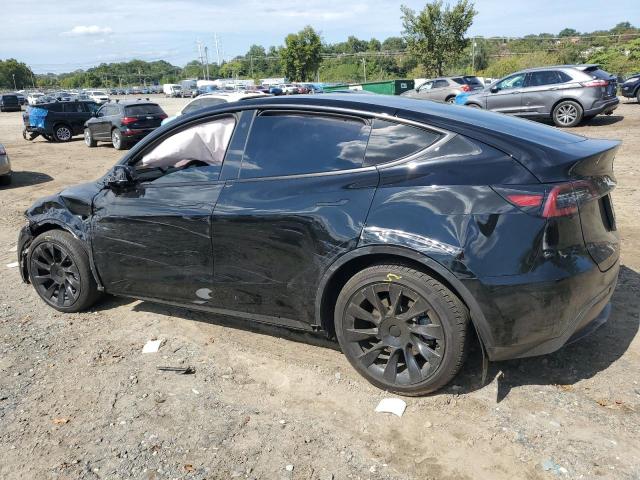  TESLA MODEL Y 2023 Черный