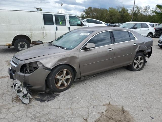  CHEVROLET MALIBU 2012 Цвет загара