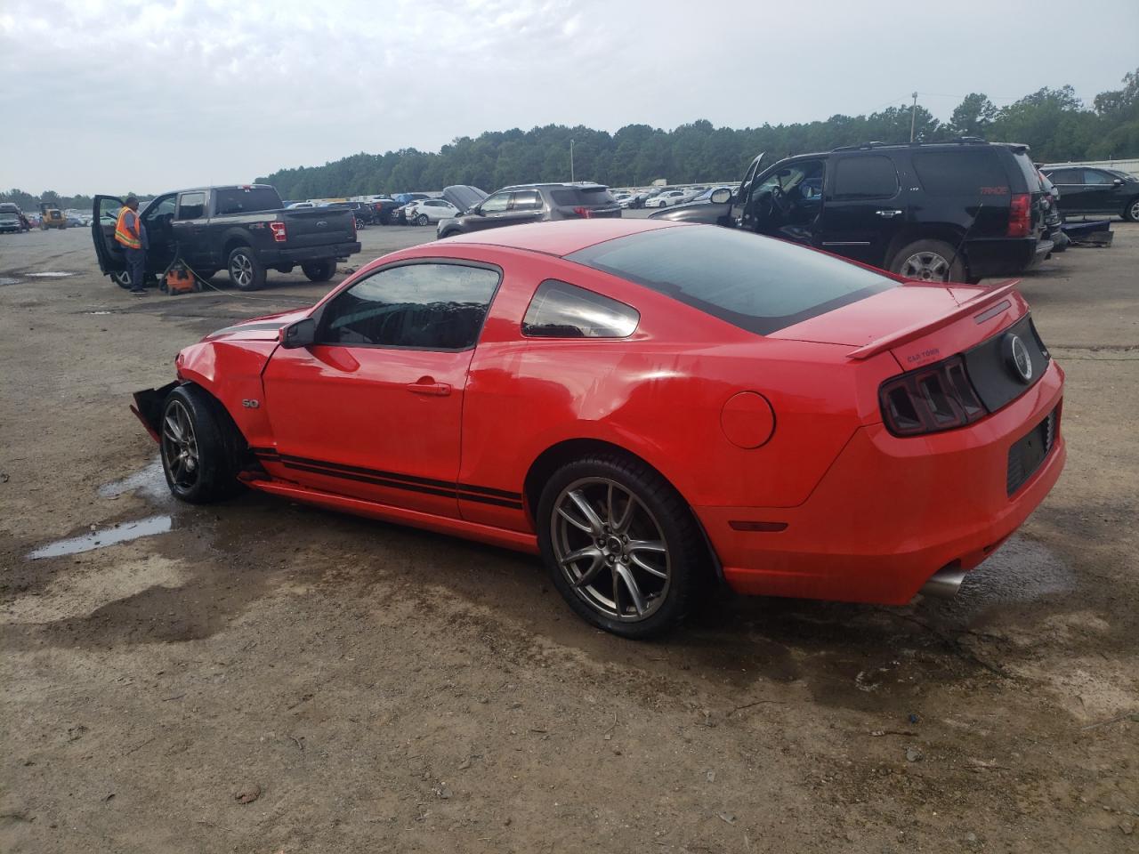 2014 Ford Mustang Gt VIN: 1ZVBP8CF7E5216695 Lot: 70003124