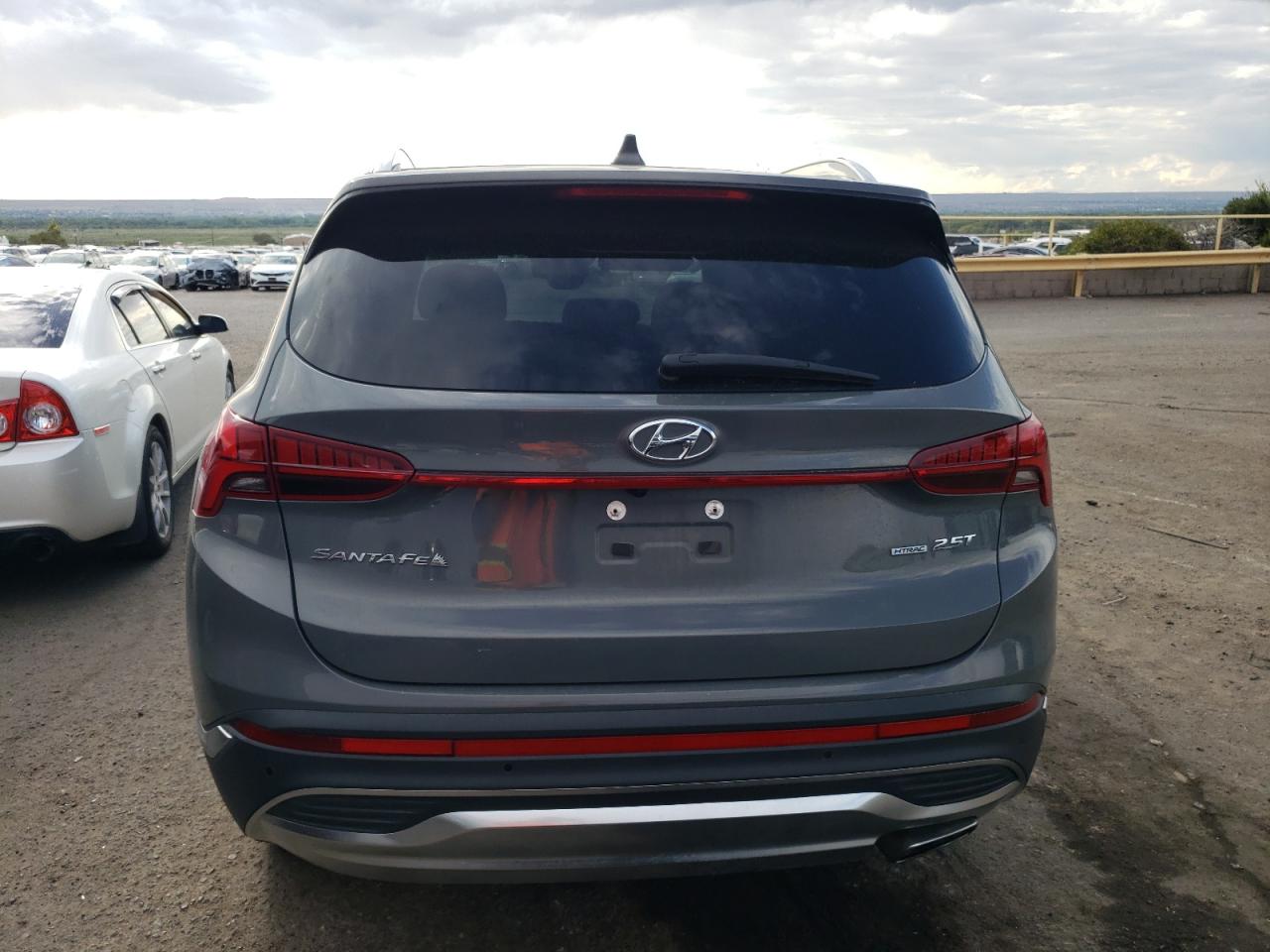 2021 Hyundai Santa Fe Limited VIN: 5NMS4DAL4MH316133 Lot: 71125854