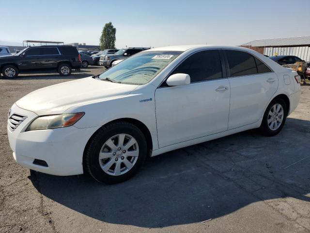 2007 Toyota Camry Hybrid