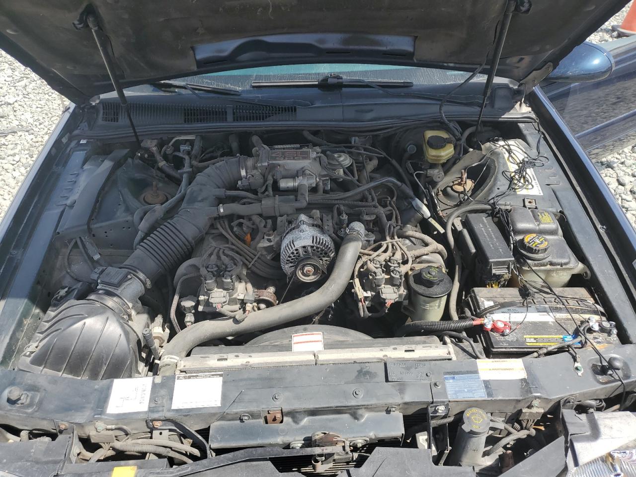 1FALP62WXTH177910 1996 Ford Thunderbird Lx