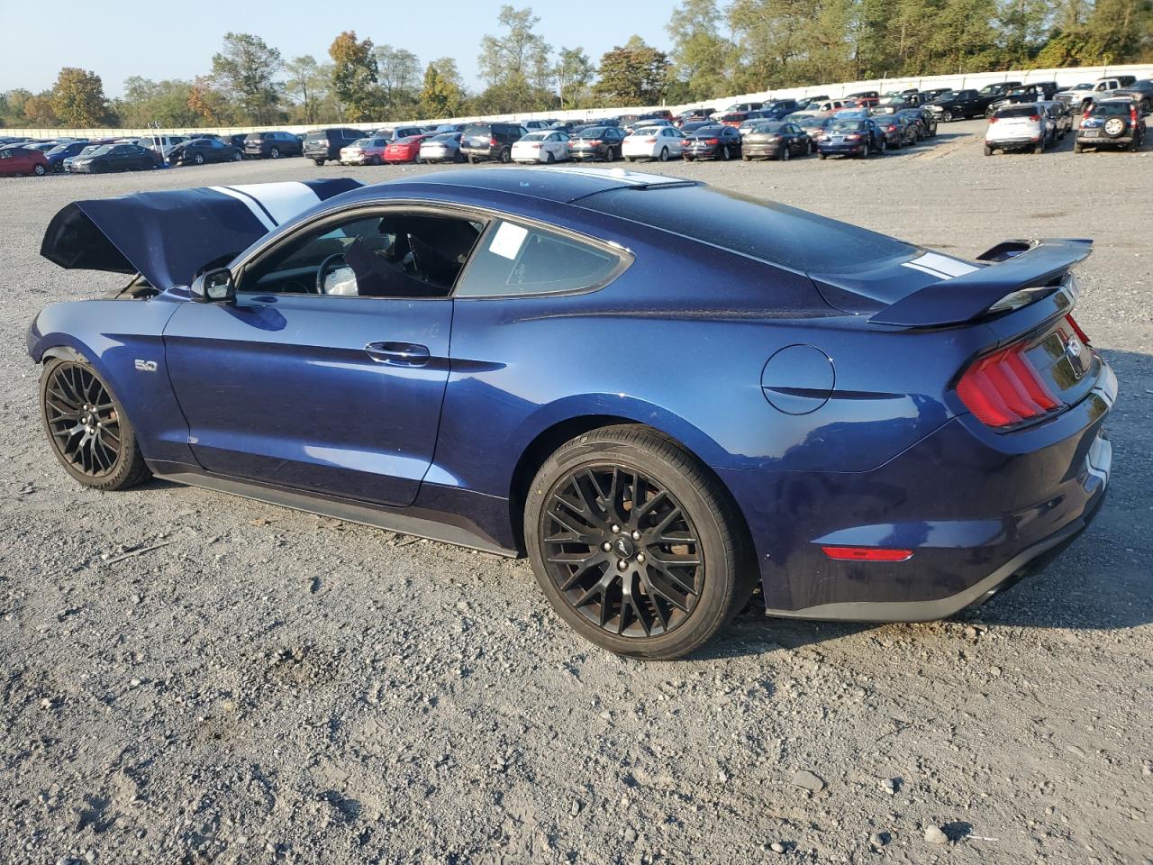 1FA6P8CF5K5122059 2019 FORD MUSTANG - Image 2