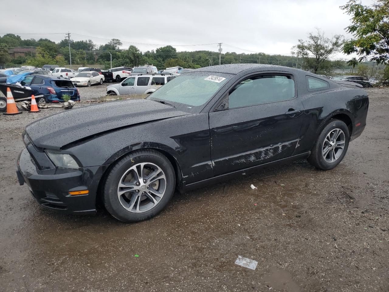 1ZVBP8AM7D5251690 2013 Ford Mustang