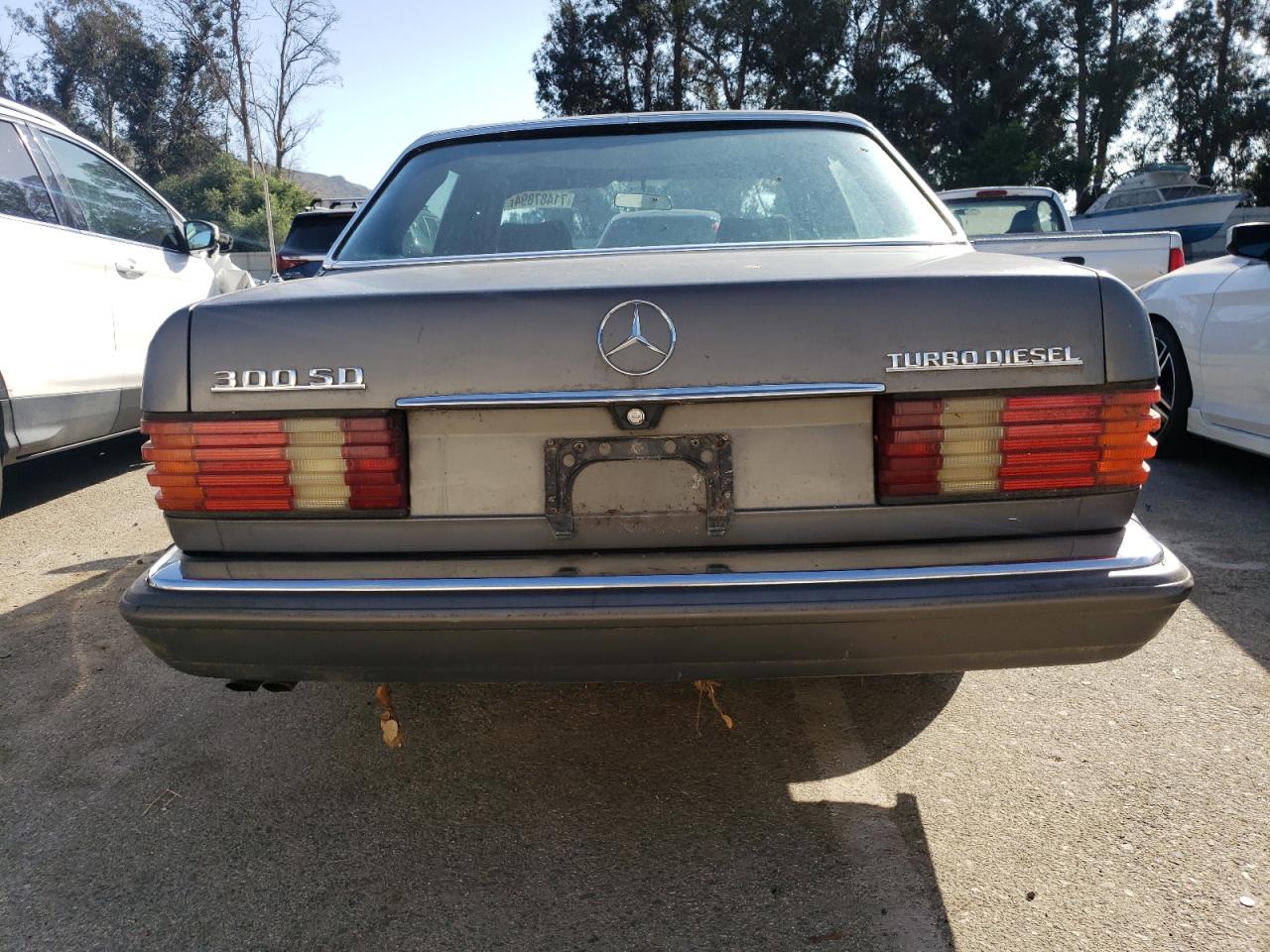 WDBCB20A7BB009747 1981 Mercedes-Benz 300 Sd