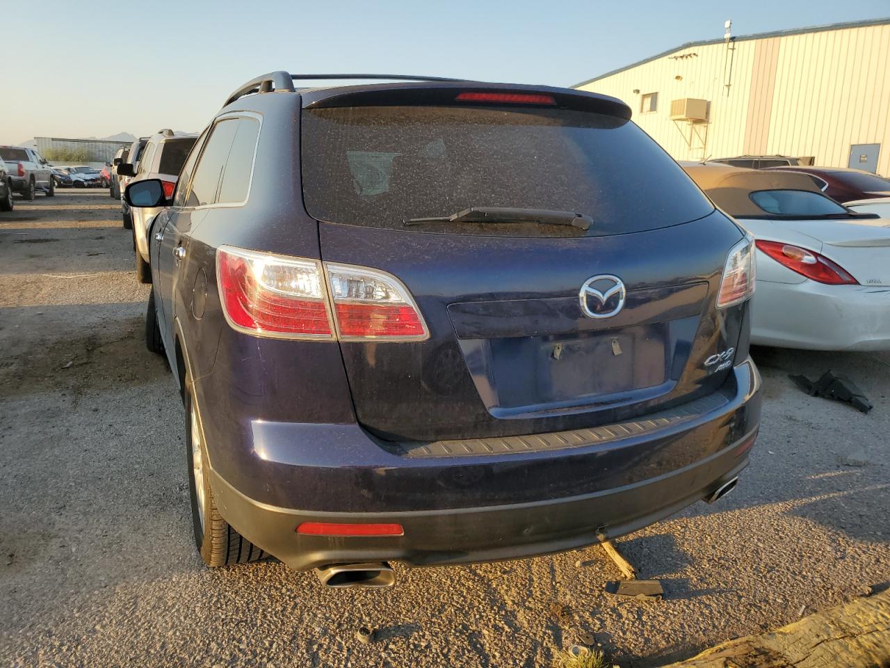 2010 Mazda Cx-9 VIN: JM3TB3MAXA0213557 Lot: 71078544