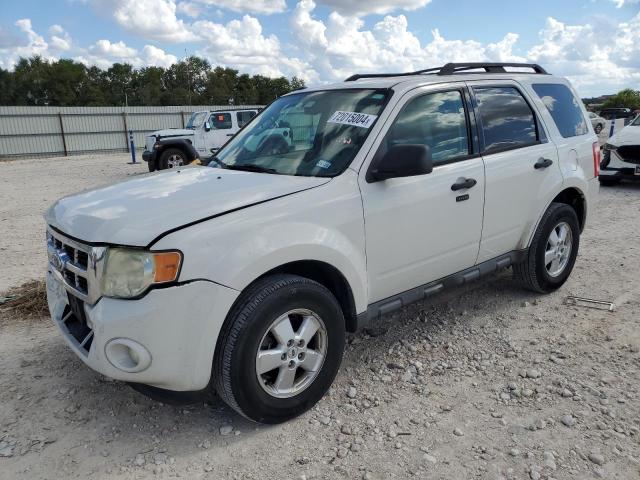 2010 Ford Escape Xlt