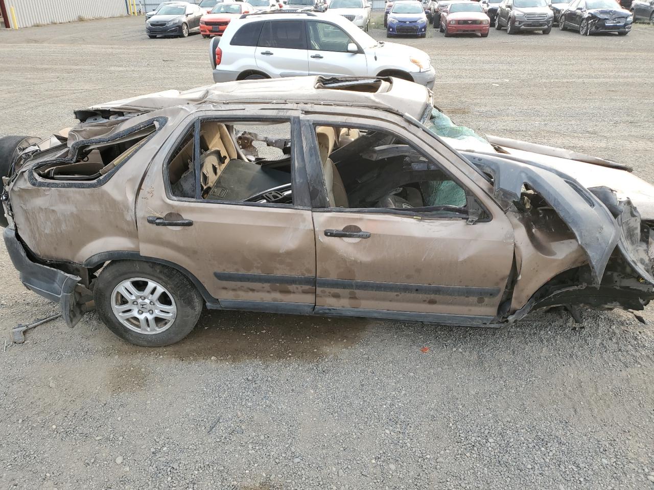 2003 Honda Cr-V Ex VIN: JHLRD78813C017779 Lot: 71012224