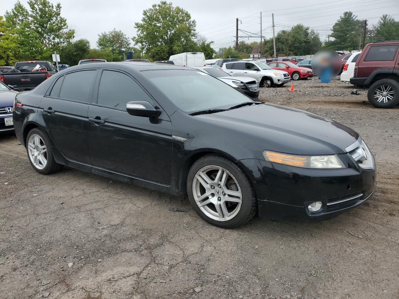 2008 Acura Tl VIN: 19UUA66298A041096 Lot: 71031374