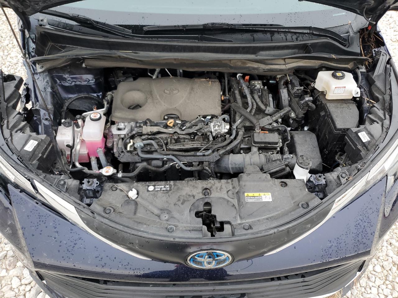 5TDYRKEC8PS159136 2023 Toyota Sienna Xle