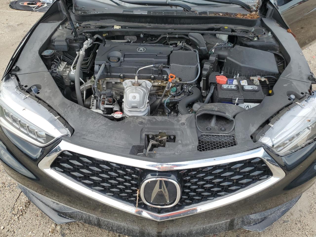 19UUB1F34KA003839 2019 Acura Tlx