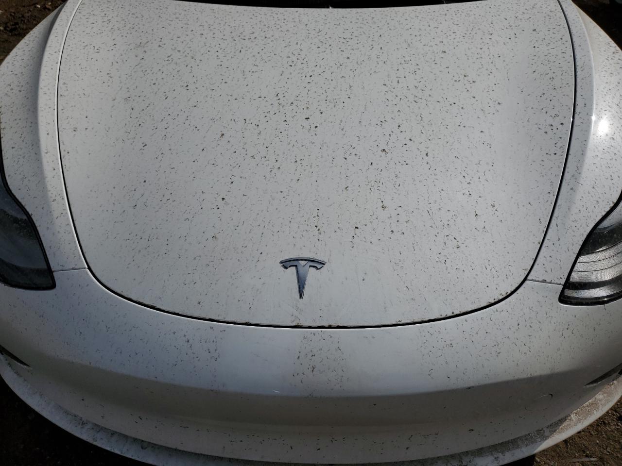 2023 Tesla Model 3 VIN: 5YJ3E1EA5PF681841 Lot: 69669684