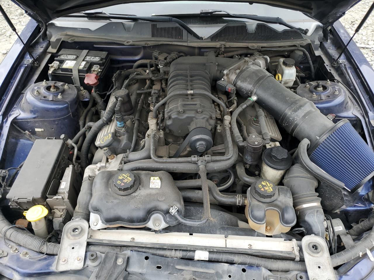 2010 Ford Mustang Shelby Gt500 VIN: 1ZVBP8JSXA5160875 Lot: 71215014